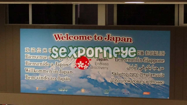 Asian Sex Diary Flight To Japan Arrives In Tokyo Diary, Japan